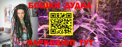 прущие крисы Гусев