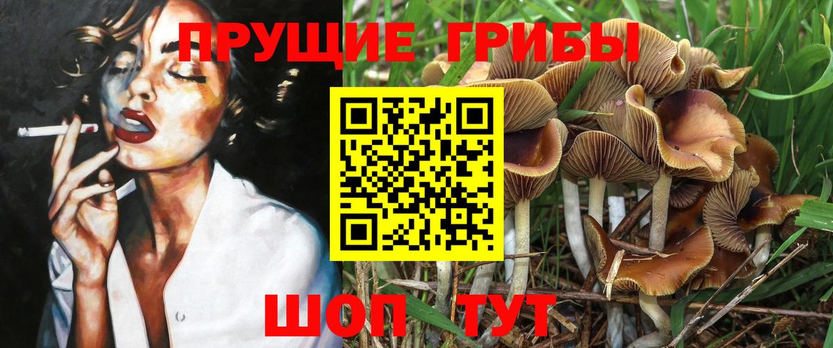 Галлюциногенные грибы Magic Shrooms Ливны