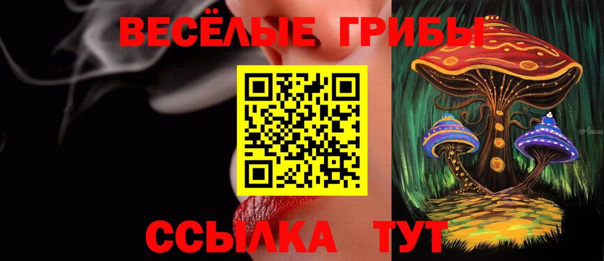 Ливны  Галлюциногенные грибы Magic Shrooms  купить  цена  Вход с VPN  Псилоцибиновые грибы Psilocybine cubensis 